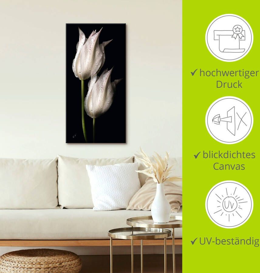 Artland Artprint Witte tulpen in de nacht als artprint van aluminium artprint voor buiten artprint op linnen poster muursticker