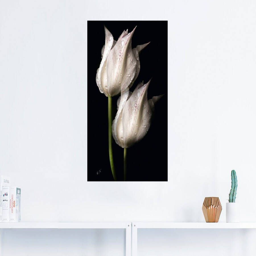 Artland Artprint Witte tulpen in de nacht als artprint van aluminium artprint voor buiten artprint op linnen poster muursticker - Foto 2