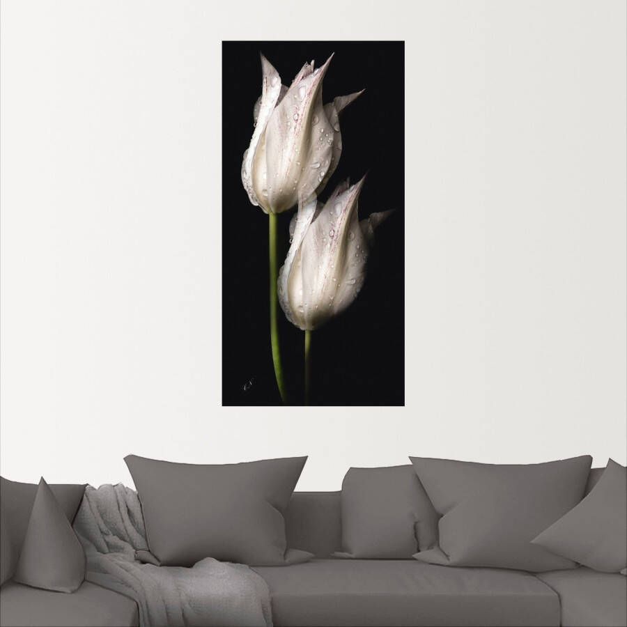 Artland Artprint Witte tulpen in de nacht als artprint van aluminium artprint voor buiten artprint op linnen poster muursticker - Foto 3