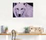 Artland Wandfolie Witte wolf zelfklevend - Thumbnail 2