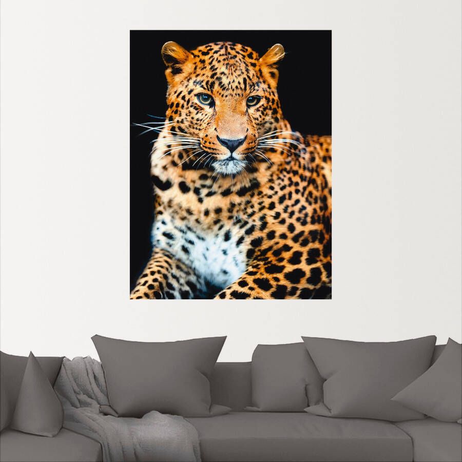 Artland Artprint Woedende wilde luipaard als artprint van aluminium artprint voor buiten artprint op linnen poster muursticker