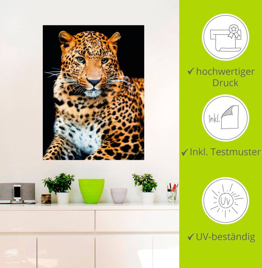 Artland Artprint Woedende wilde luipaard als artprint van aluminium artprint voor buiten artprint op linnen poster muursticker