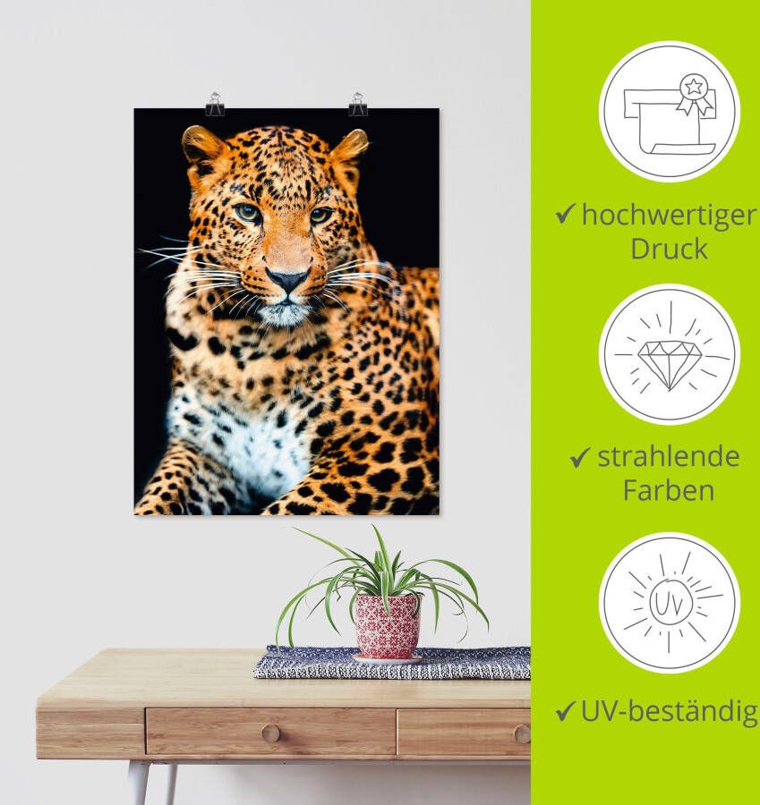 Artland Artprint Woedende wilde luipaard als artprint van aluminium artprint voor buiten artprint op linnen poster muursticker