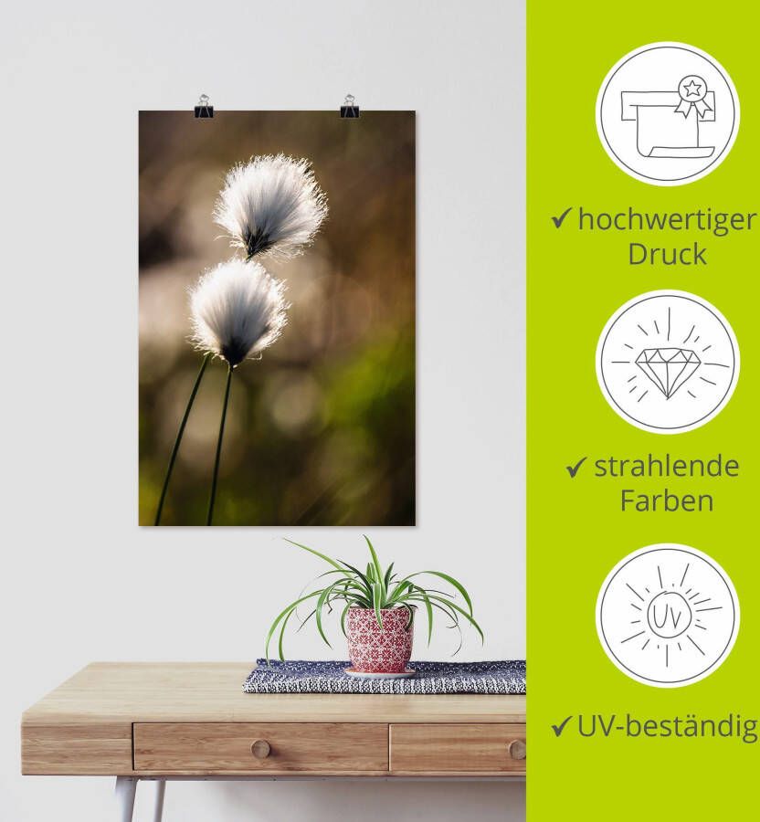 Artland Artprint Wolgras I als artprint van aluminium artprint voor buiten artprint op linnen poster in verschillende maten. maten