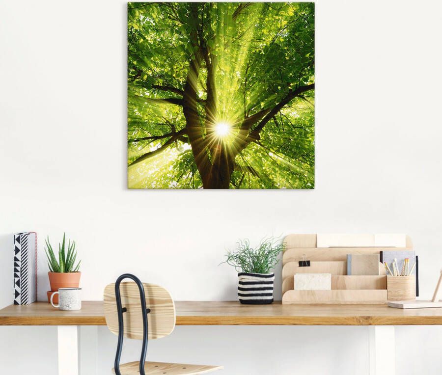 Artland Artprint Zon straalt explosief door de boom als artprint op linnen poster muursticker in verschillende maten