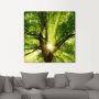 Artland Artprint Zon straalt explosief door de boom als artprint op linnen poster muursticker in verschillende maten - Thumbnail 3