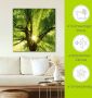 Artland Artprint Zon straalt explosief door de boom als artprint op linnen poster muursticker in verschillende maten - Thumbnail 5