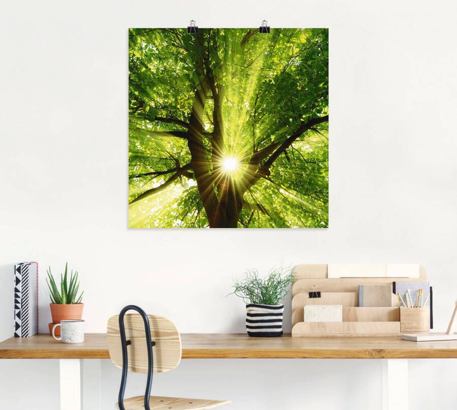 Artland Artprint Zon straalt explosief door de boom als artprint op linnen poster muursticker in verschillende maten