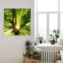 Artland Artprint Zon straalt explosief door de boom als artprint op linnen poster muursticker in verschillende maten - Thumbnail 3