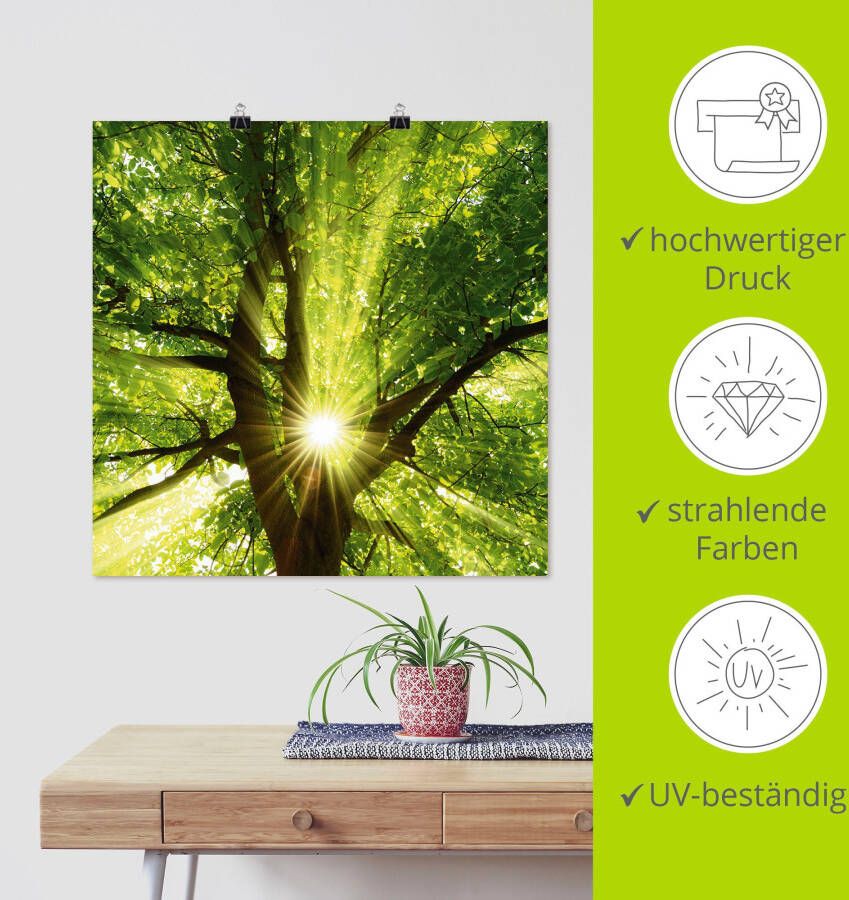 Artland Artprint Zon straalt explosief door de boom als artprint op linnen poster muursticker in verschillende maten