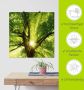 Artland Artprint Zon straalt explosief door de boom als artprint op linnen poster muursticker in verschillende maten - Thumbnail 4