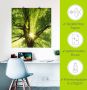 Artland Artprint Zon straalt explosief door de boom als artprint op linnen poster muursticker in verschillende maten - Thumbnail 6