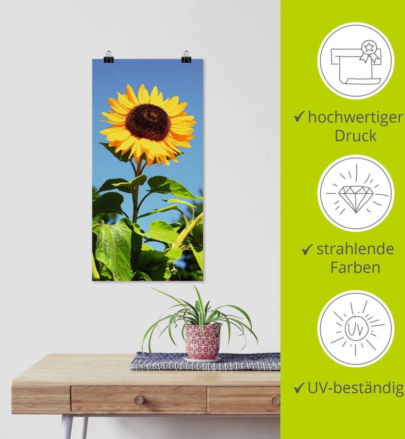 Artland Artprint Zonnebloem als artprint van aluminium artprint voor buiten artprint op linnen poster in verschillende maten. maten