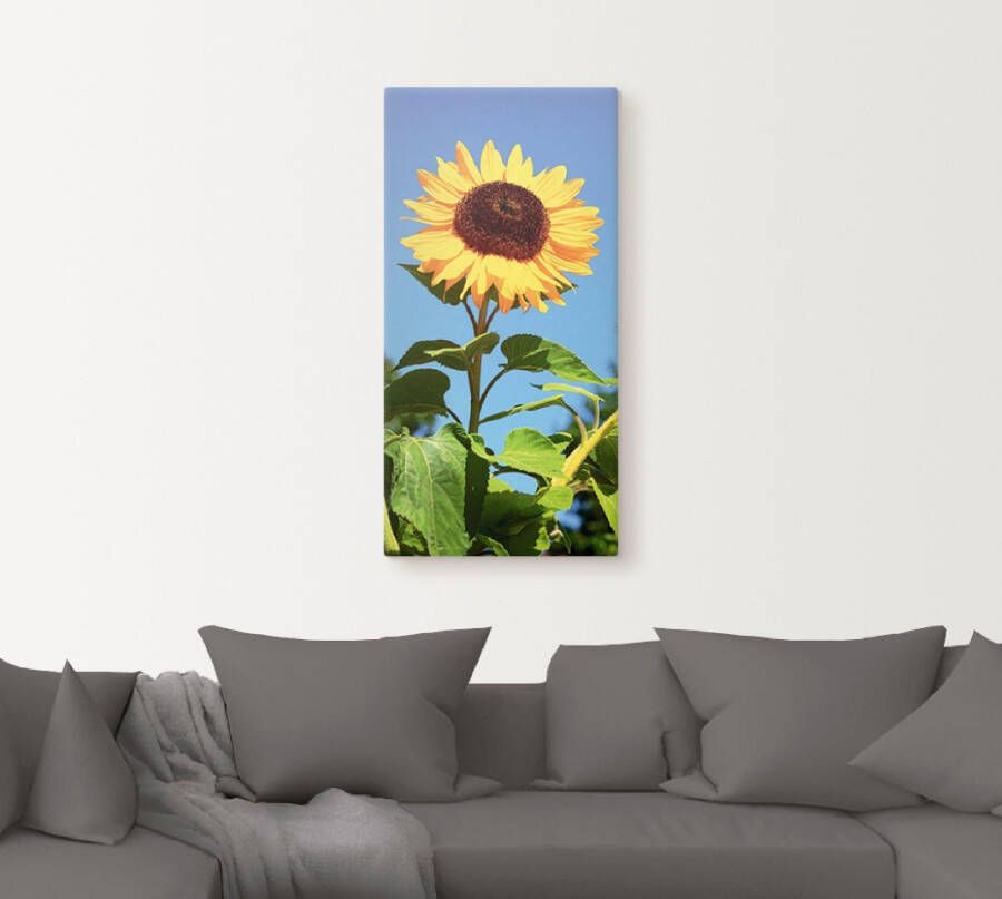 Artland Artprint Zonnebloem als artprint van aluminium artprint voor buiten artprint op linnen poster in verschillende maten. maten