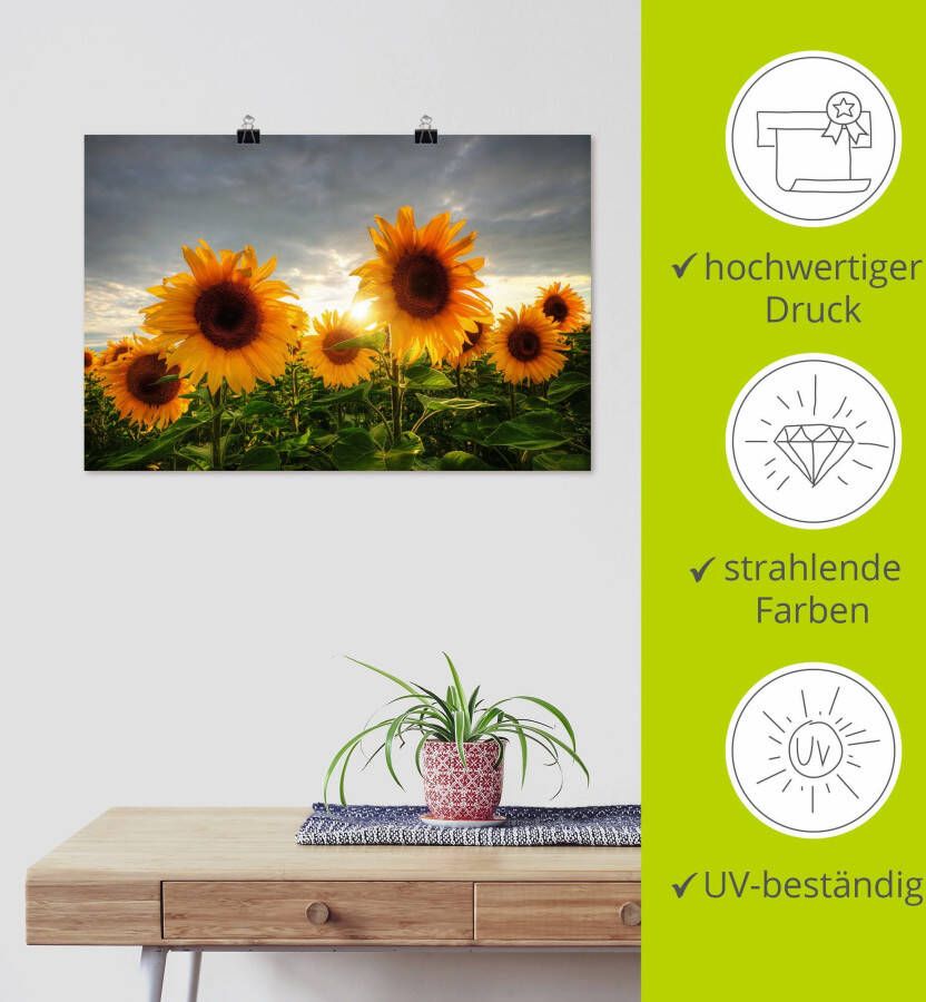 Artland Artprint Zonnebloemen II als artprint op linnen poster in verschillende formaten maten