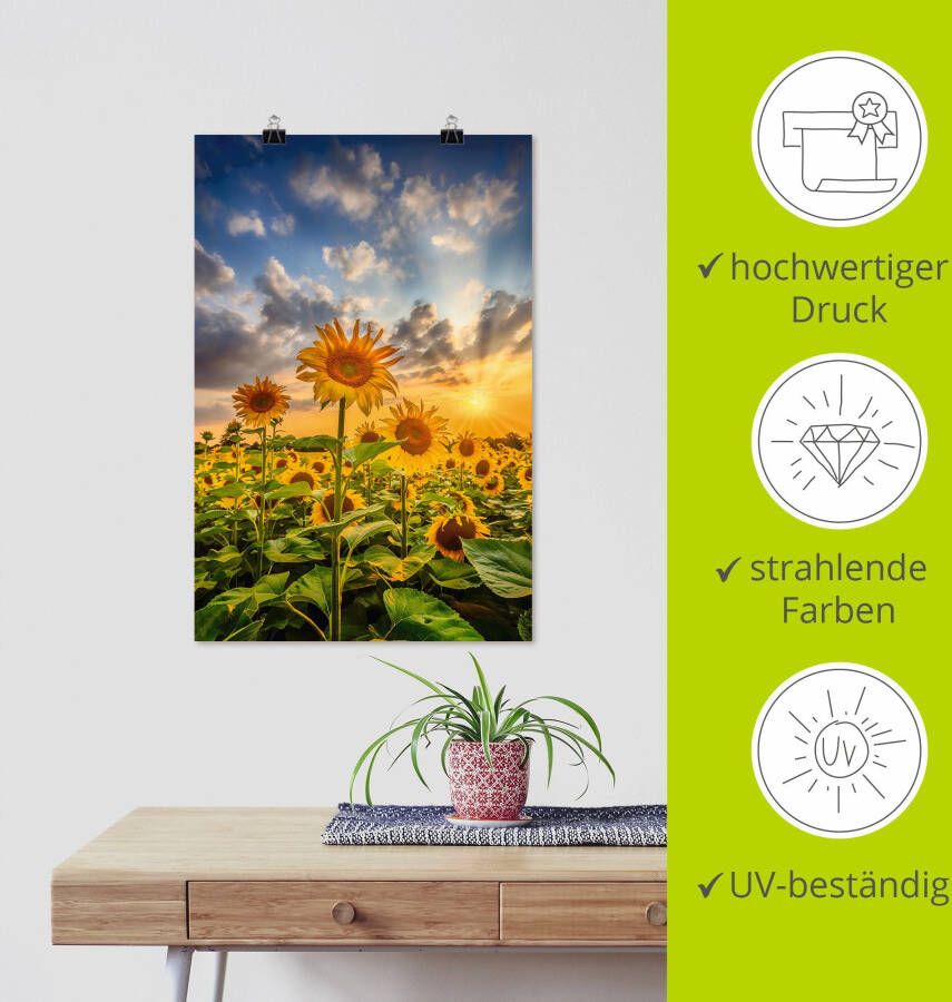 Artland Artprint Zonnebloemen in de zonsondergang als artprint op linnen poster in verschillende formaten maten