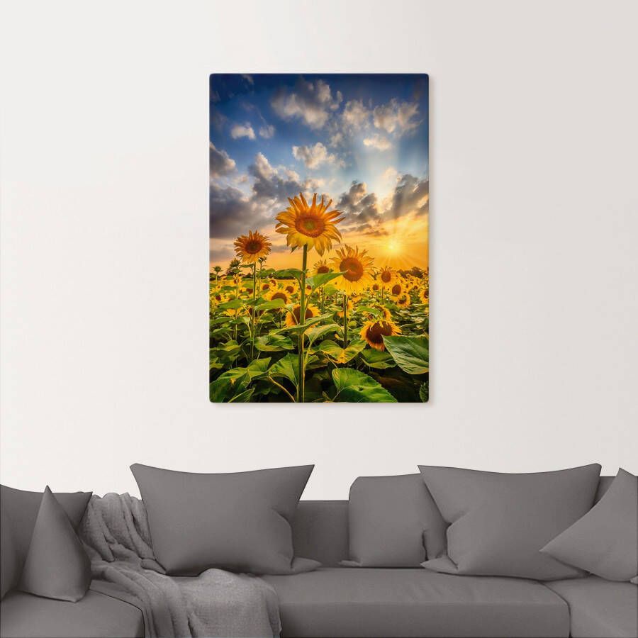 Artland Artprint Zonnebloemen in de zonsondergang als artprint op linnen poster in verschillende formaten maten