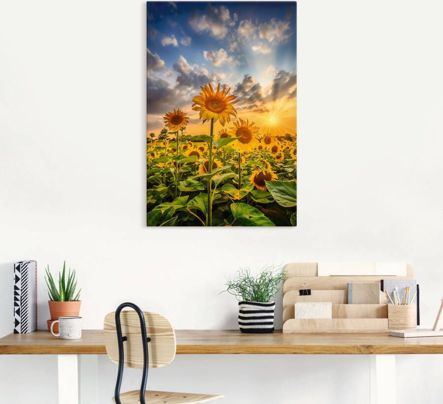 Artland Artprint Zonnebloemen in de zonsondergang als artprint op linnen poster in verschillende formaten maten