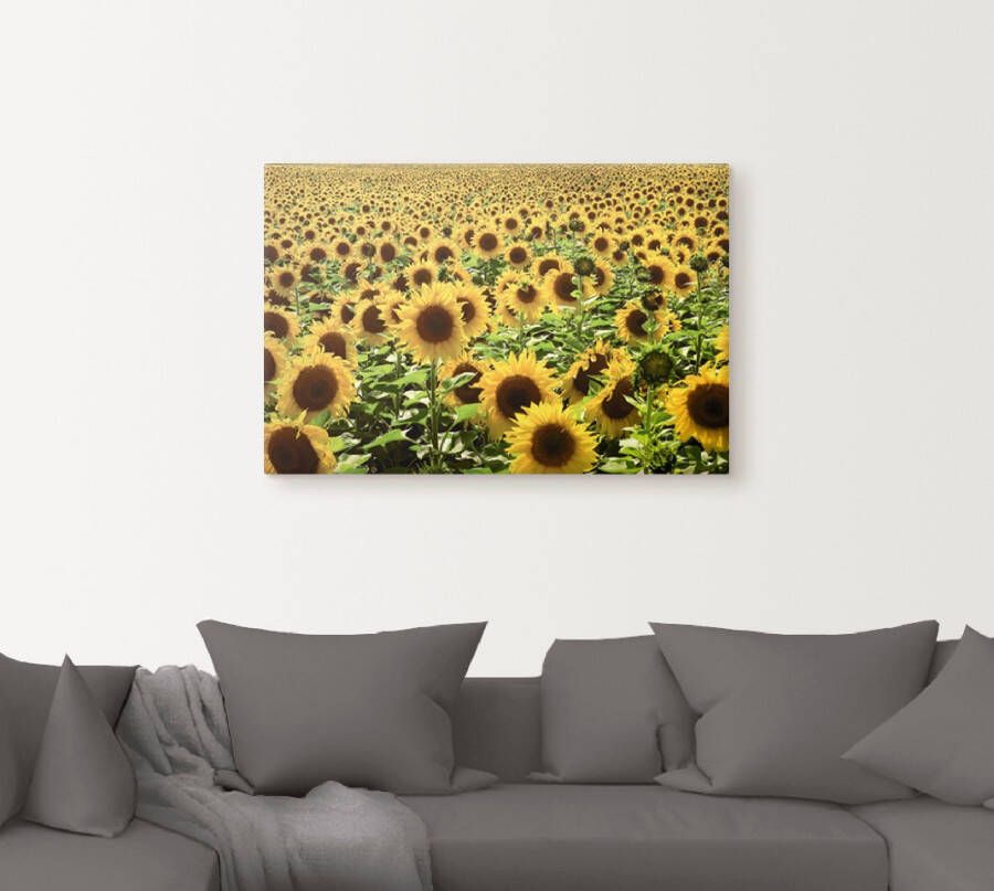 Artland Artprint Zonnebloemveld als artprint van aluminium artprint voor buiten artprint op linnen poster in verschillende maten. maten