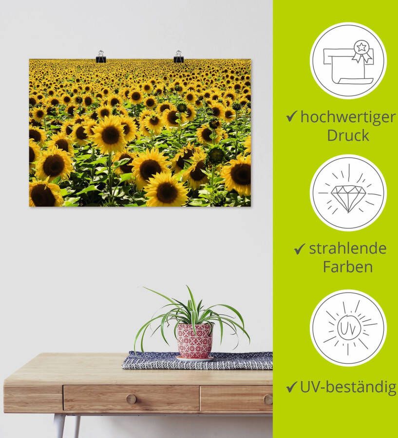 Artland Artprint Zonnebloemveld als artprint van aluminium artprint voor buiten artprint op linnen poster in verschillende maten. maten