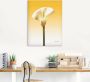 Artland Artprint Zonneschijn calla II als artprint op linnen poster in verschillende formaten maten - Thumbnail 2