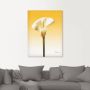 Artland Artprint Zonneschijn calla II als artprint op linnen poster in verschillende formaten maten - Thumbnail 3