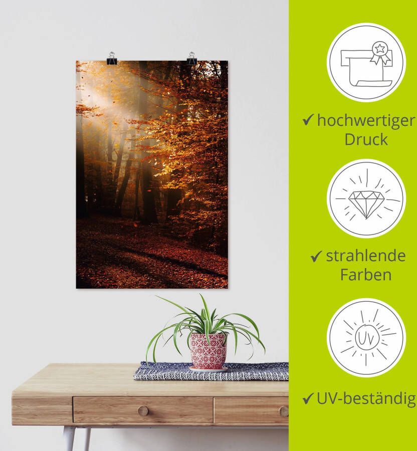 Artland Artprint Zonsopkomst in de herfst als artprint op linnen poster in verschillende formaten maten