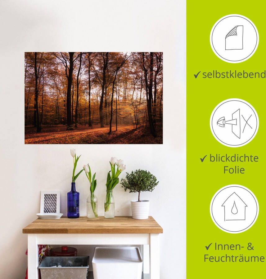 Artland Artprint Zonsopkomst in de herfst II als artprint van aluminium artprint voor buiten artprint op linnen poster muursticker