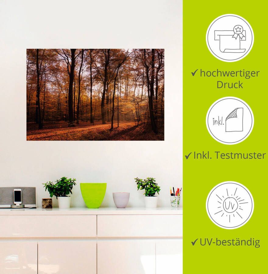 Artland Artprint Zonsopkomst in de herfst II als artprint van aluminium artprint voor buiten artprint op linnen poster muursticker