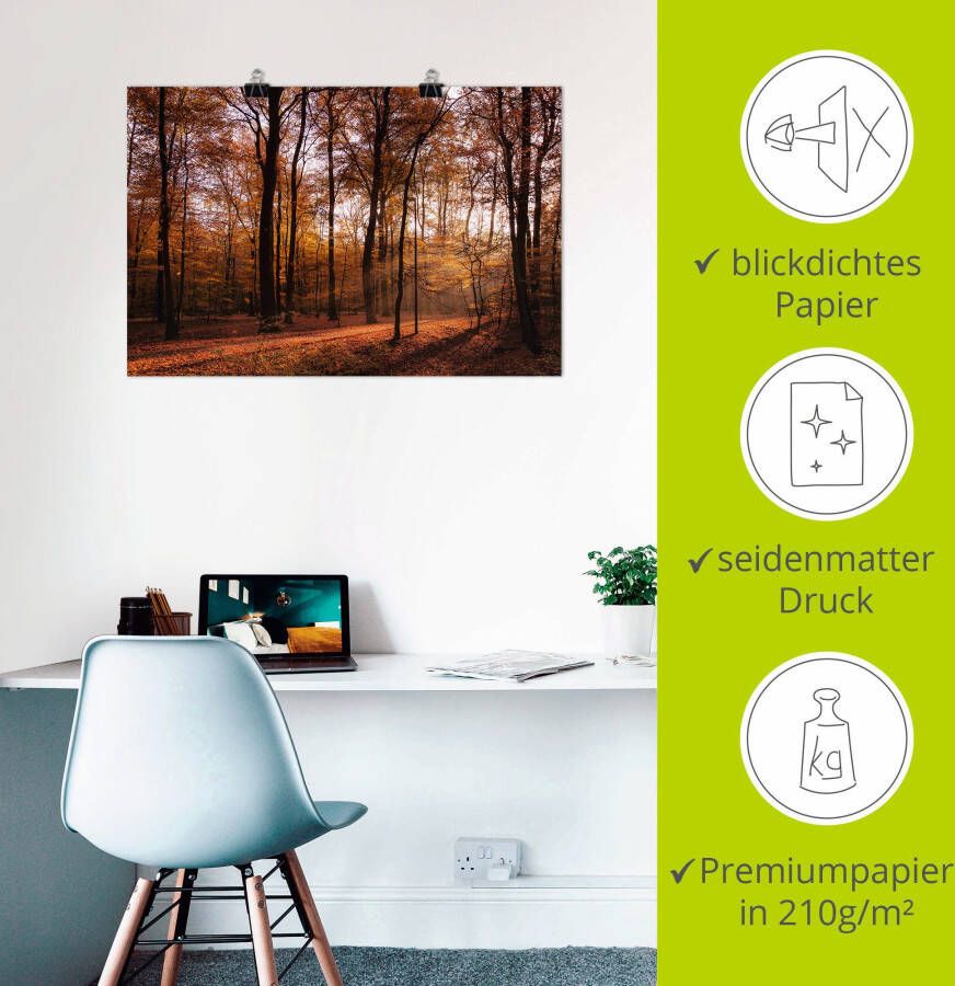 Artland Artprint Zonsopkomst in de herfst II als artprint van aluminium artprint voor buiten artprint op linnen poster muursticker