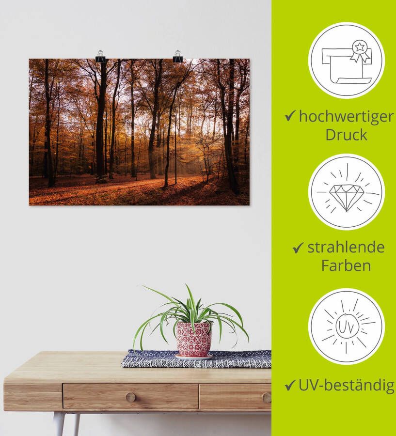 Artland Artprint Zonsopkomst in de herfst II als artprint van aluminium artprint voor buiten artprint op linnen poster muursticker