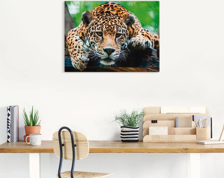Artland Artprint Zuid-Amerikaanse jaguar als artprint van aluminium artprint voor buiten artprint op linnen poster muursticker - Foto 2