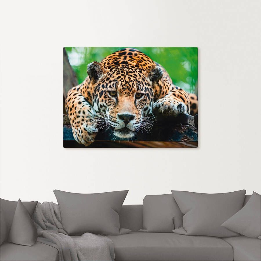 Artland Artprint Zuid-Amerikaanse jaguar als artprint van aluminium artprint voor buiten artprint op linnen poster muursticker - Foto 3