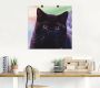 Artland Artprint Zwarte Britse korthaar kat als poster in verschillende formaten maten - Thumbnail 2