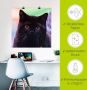 Artland Artprint Zwarte Britse korthaar kat als poster in verschillende formaten maten - Thumbnail 5