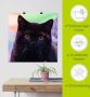 Artland Artprint Zwarte Britse korthaar kat als poster in verschillende formaten maten - Thumbnail 6