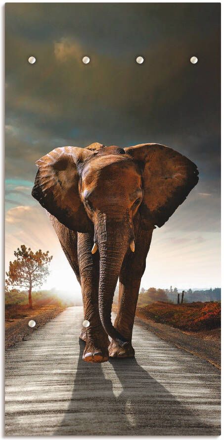 Artland Kapstok Een olifant loopt op de weg