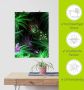 Artland Poster Paradijsvogels in het bos als artprint van aluminium artprint op linnen muursticker of poster in verschillende maten - Thumbnail 5