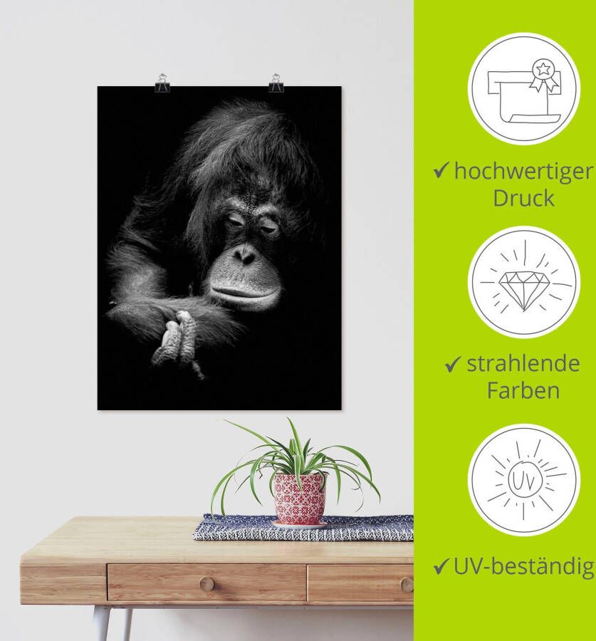 Artland Poster De slapende jaguar De peinzende orang-oetan als artprint van aluminium artprint op linnen muursticker of poster in verschillende maten