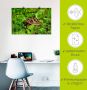 Artland Poster Griekse landschildpad baby als artprint van aluminium artprint op linnen muursticker of poster in verschillende maten - Thumbnail 4