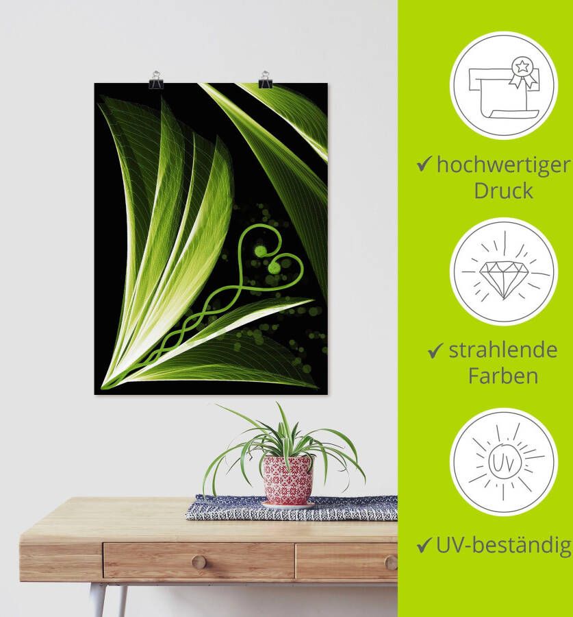 Artland Poster Groen hartvormig blad decoratief als artprint van aluminium artprint op linnen muursticker of poster in verschillende maten