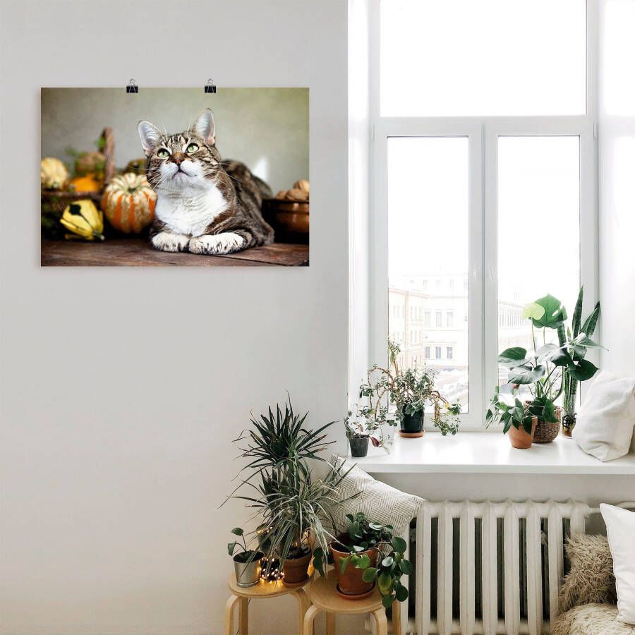 Artland Poster Kat en herfstdecoratie als artprint van aluminium artprint op linnen muursticker of poster in verschillende maten