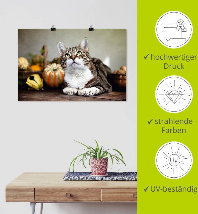 Artland Poster Kat en herfstdecoratie als artprint van aluminium artprint op linnen muursticker of poster in verschillende maten