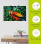 Artland Poster Rode Ara als artprint van aluminium artprint op linnen muursticker of poster in verschillende maten - Thumbnail 6