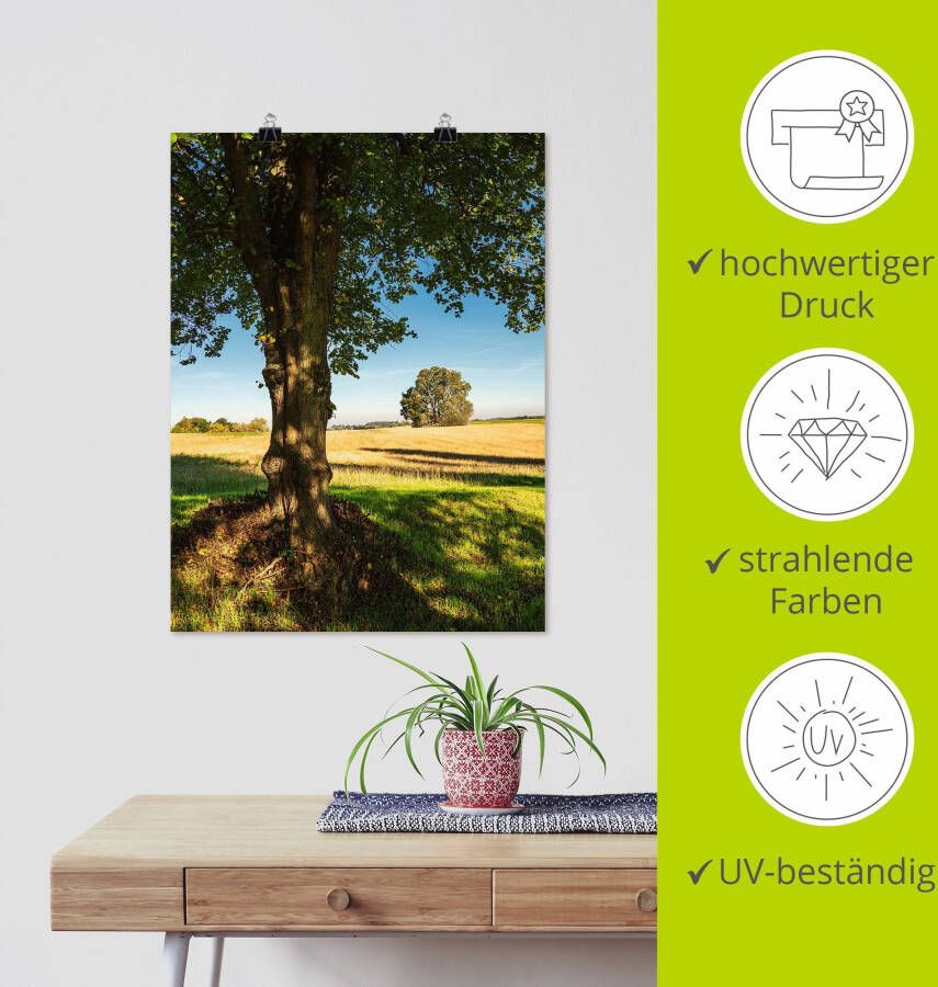 Artland Poster Veld en bomen bij Hohen Demzin als artprint van aluminium artprint op linnen muursticker of poster in verschillende maten