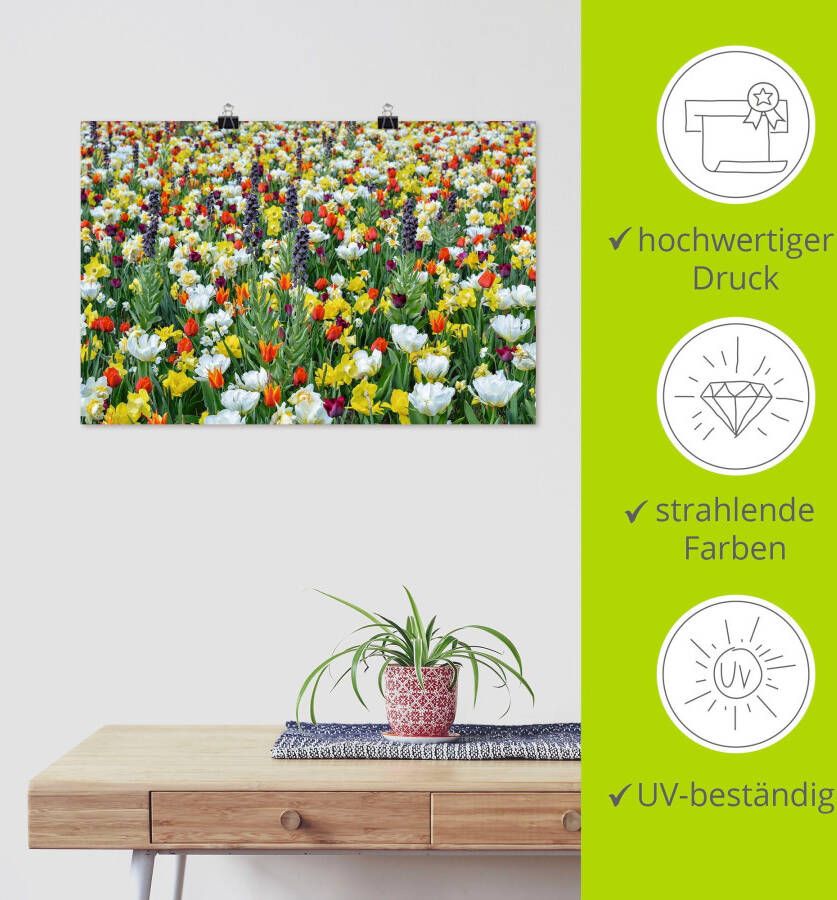 Artland Poster Veld van verschillende lentebloemen als artprint van aluminium artprint op linnen muursticker of poster in verschillende maten