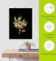 Artland Poster Venus met kat en magnolia's als artprint van aluminium artprint op linnen muursticker of poster in verschillende maten - Thumbnail 5