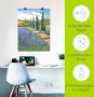 Artland Poster Weg door het lavendelveld als artprint van aluminium artprint op linnen muursticker of poster in verschillende maten - Thumbnail 4