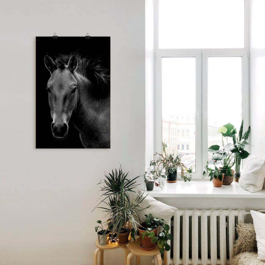 Artland Poster Weide met wilde bloemen blauwe hemel Wild paard als artprint van aluminium artprint op linnen muursticker of poster in verschillende maten