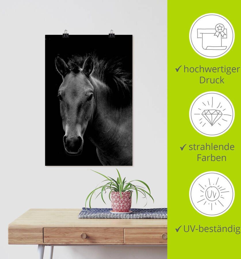 Artland Poster Weide met wilde bloemen blauwe hemel Wild paard als artprint van aluminium artprint op linnen muursticker of poster in verschillende maten